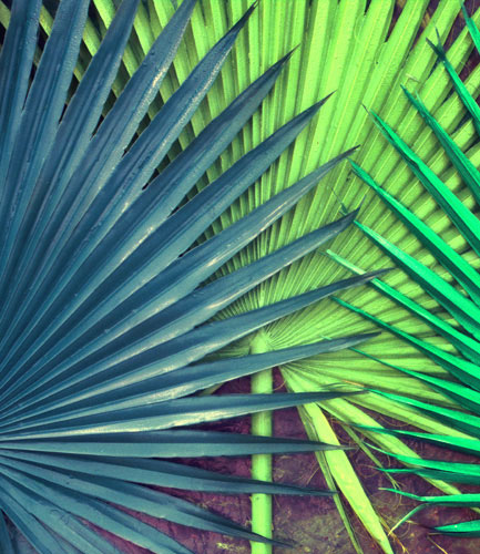 Floral JAHRRIESNGE  for pu kui lpf04590 