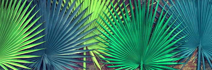 Floral for JAHRRIESNGE flowers lpf04592 Floral JAHRRIESNGE for flowers lpf04592