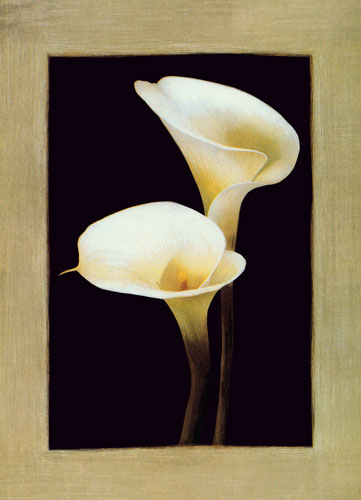 Floral for JAHRRIESNGE flower lpf04718 Floral JAHRRIESNGE for flower lpf04718