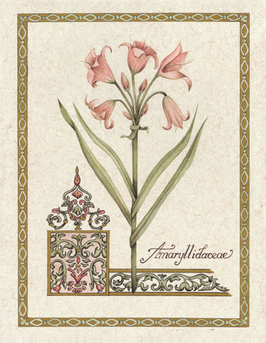 Floral for JAHRRIESNGE flower lpf04735 Floral JAHRRIESNGE for flower lpf04735