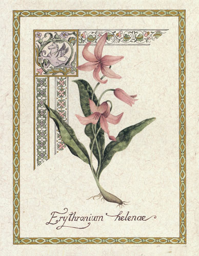 Floral for JAHRRIESNGE flower lpf04736 Floral JAHRRIESNGE for flower lpf04736