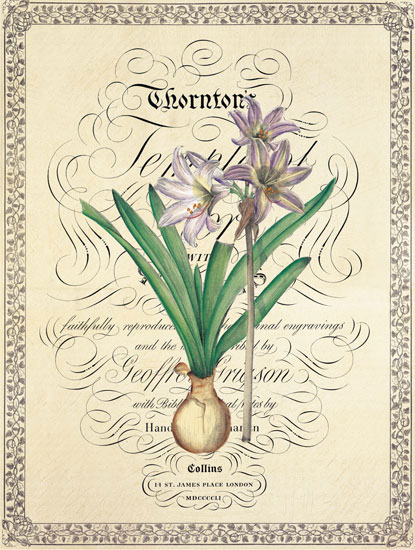 Floral for JAHRRIESNGE flower lpf04739  Floral JAHRRIESNGE  for flower lpf04739