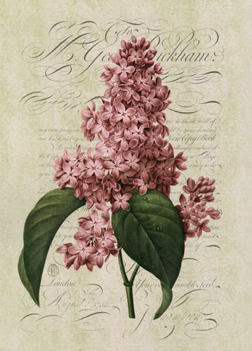 Floral for JAHRRIESNGE flowers lpf04757  Floral JAHRRIESNGE  for flowers lpf04757