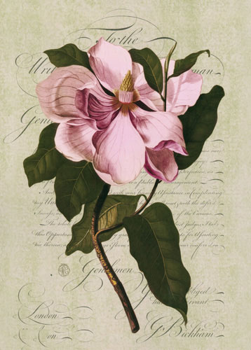 Floral for JAHRRIESNGE flowers lpf04758 Floral JAHRRIESNGE for flowers lpf04758