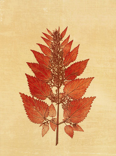 Floral for JAHRRIESNGE flowers lpf04759 Floral JAHRRIESNGE for flowers lpf04759