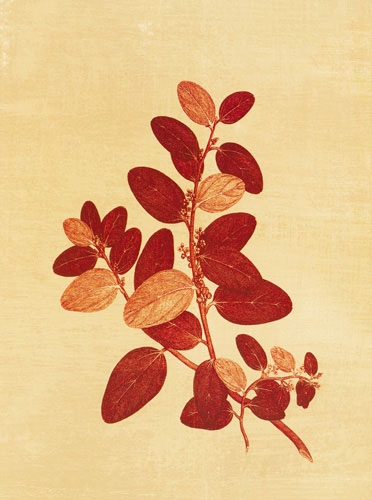 Floral for JAHRRIESNGE flowers lpf04760 Floral JAHRRIESNGE for flowers lpf04760