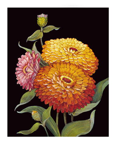 Floral for Jahrriesnge flowers lpf04812  Floral Jahrriesnge  for flowers lpf04812