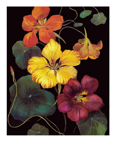 Floral for JAHRRIESNGE flowers lpf04813 Floral JAHRRIESNGE for flowers lpf04813