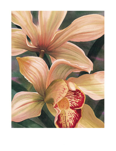 Floral for JAHRRIESNGE flowers lpf04815  Floral JAHRRIESNGE  for flowers lpf04815