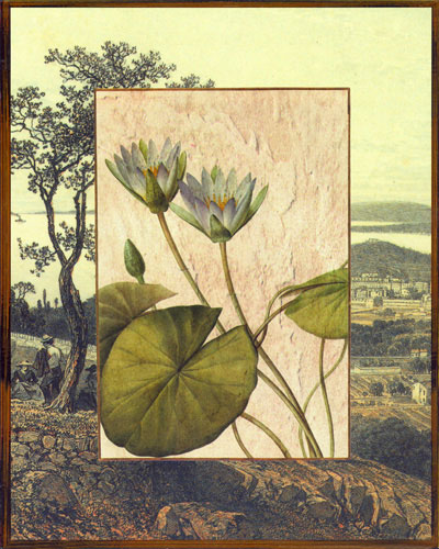 Floral for JAHRRIESNGE flowers lpf04828 Floral JAHRRIESNGE for flowers lpf04828