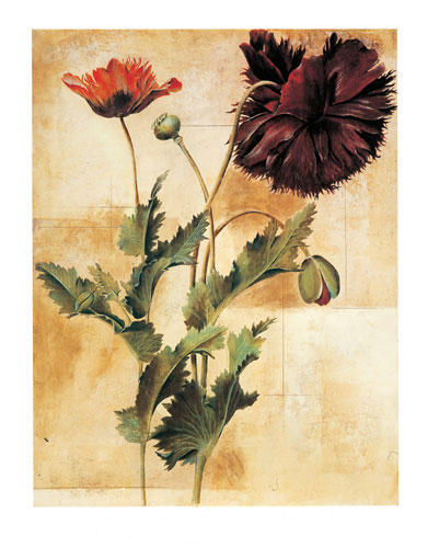 Floral for JAHRRIESNGE flowers lpf04871 Floral JAHRRIESNGE for flowers lpf04871