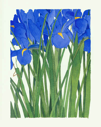 Floral for JAHRRIESNGE flowers lpf04910  Floral JAHRRIESNGE  for flowers lpf04910