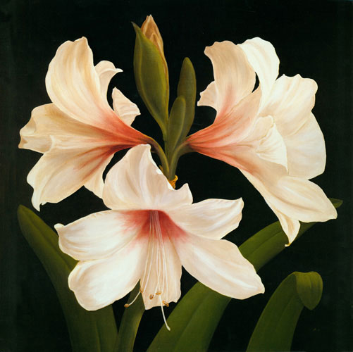 Floral for JAHRRIESNGE flowers lpf04952 Floral JAHRRIESNGE for flowers lpf04952