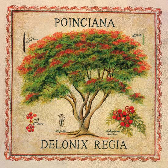 Floral for JAHRRIESNGE flowers lpf04958 Floral JAHRRIESNGE for flowers lpf04958