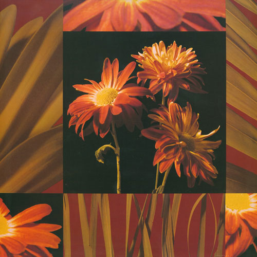 Floral for JAHRRIESNGE flowers lpf05007 Floral JAHRRIESNGE for flowers lpf05007