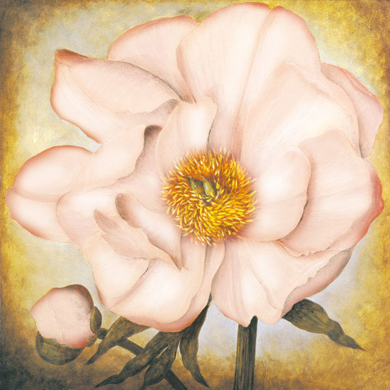 Floral for JAHRRIESNGE flower lpf05037 Floral JAHRRIESNGE for flower lpf05037