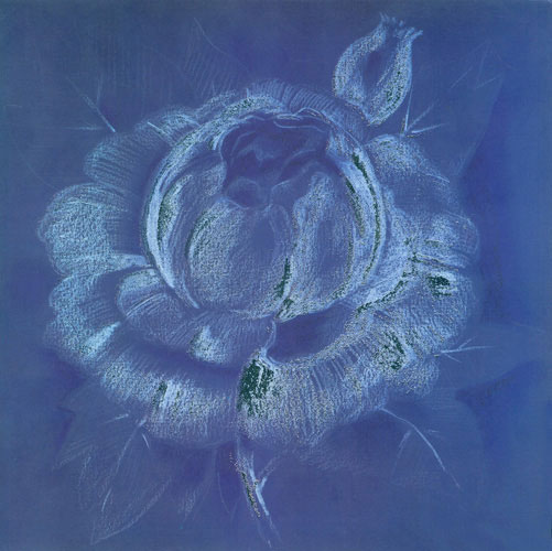 Floral for JAHRRIESNGE flowers lpf05269 Floral JAHRRIESNGE for flowers lpf05269