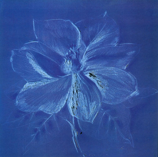 Floral for JAHRRIESNGE flowers lpf05270 Floral JAHRRIESNGE for flowers lpf05270