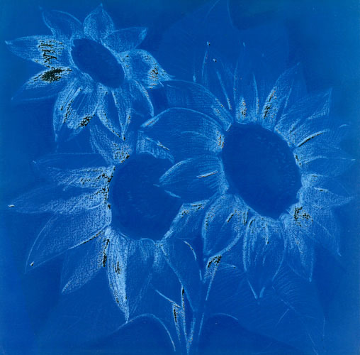 Floral for JAHRRIESNGE flowers lpf05271 Floral JAHRRIESNGE for flowers lpf05271