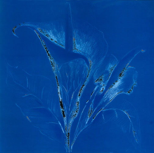 Floral for Jahrriesnge flowers lpf05272  Floral Jahrriesnge  for flowers lpf05272