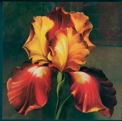 Floral for JAHRRIESNGE flowers lpf05297 Floral JAHRRIESNGE for flowers lpf05297