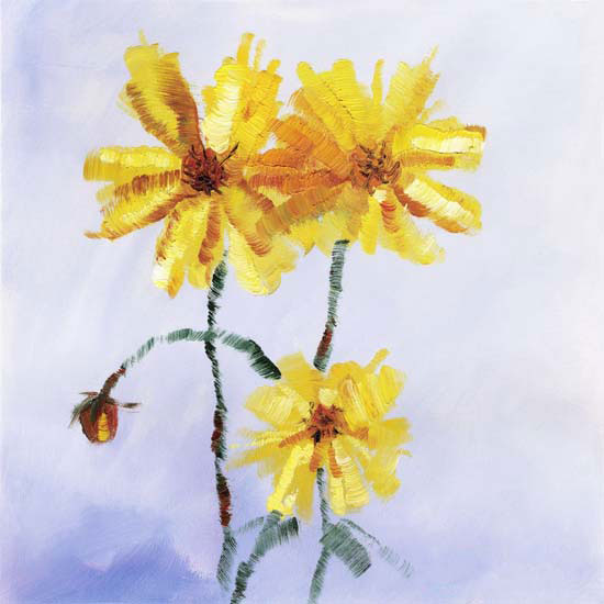 Floral for JAHRRIESNGE flowers lpf05363  Floral JAHRRIESNGE  for flowers lpf05363