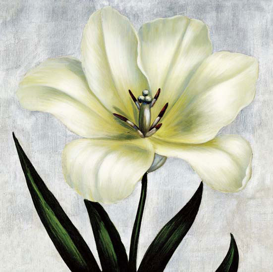 Floral for JAHRRIESNGE flowers lpf05391  Floral JAHRRIESNGE  for flowers lpf05391