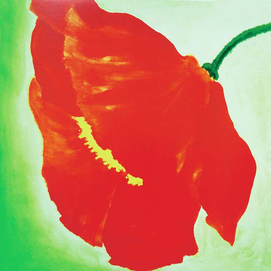 Floral for JAHRRIESNGE flowers lpf05538  Floral JAHRRIESNGE  for flowers lpf05538