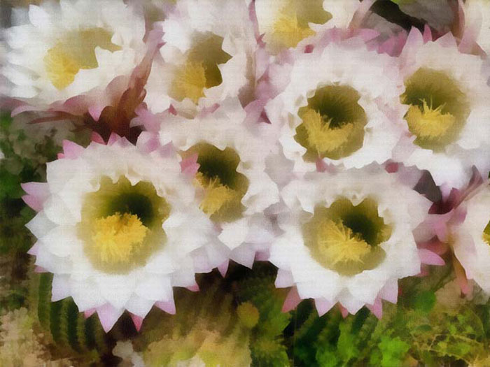 Abstract for Jahrriesnge colorful-lpf05913 Abstract Jahrriesnge for colorful-lpf05913