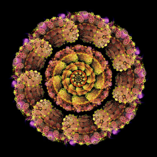 Abstract for Jahrriesnge colorful-lpf06334 Abstract Jahrriesnge for colorful-lpf06334