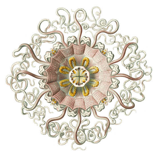 Abstract for Jahrriesnge colorful-lpf06396 Abstract Jahrriesnge for colorful-lpf06396