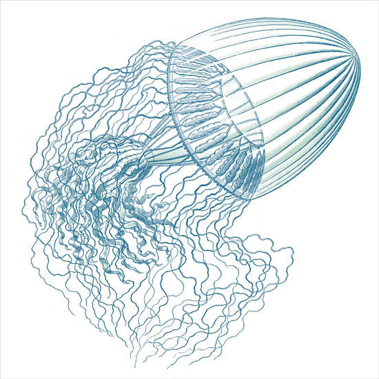 Abstract for Jahrriesnge colorful-lpf06397 Abstract Jahrriesnge for colorful-lpf06397