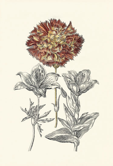 Floral for JAHRRIESNGE flowers-lpf06620  Floral JAHRRIESNGE  for flowers-lpf06620