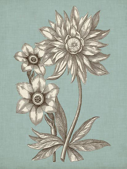 Floral for JAHRRIESNGE flowers-lpf06625  Floral JAHRRIESNGE  for flowers-lpf06625