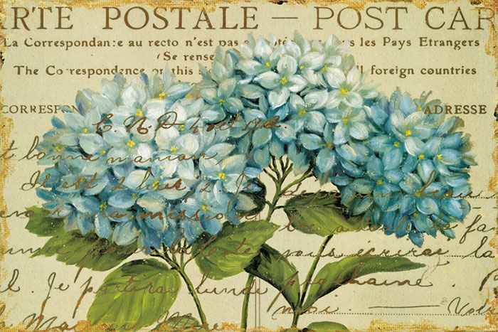 Floral for JAHRRIESNGE flowers-lpf06628  Floral JAHRRIESNGE  for flowers-lpf06628