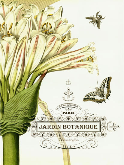 Floral for JAHRRIESNGE flowers-lpf06633  Floral JAHRRIESNGE  for flowers-lpf06633