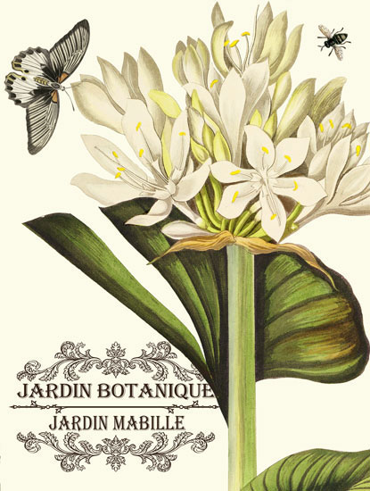 Floral for JAHRRIESNGE flowers-lpf06636  Floral JAHRRIESNGE  for flowers-lpf06636