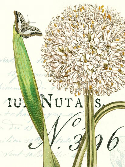 Floral for JAHRRIESNGE flowers-lpf06637  Floral JAHRRIESNGE  for flowers-lpf06637