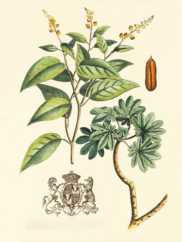 Floral for JAHRRIESNGE flowers-lpf06641  Floral JAHRRIESNGE  for flowers-lpf06641