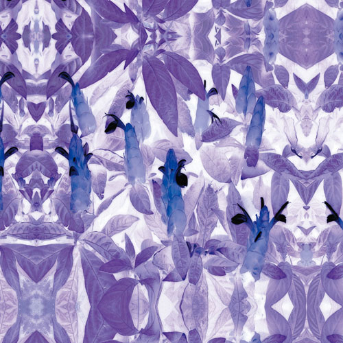 Floral for JAHRRIESNGE flowers-lpf06741  Floral JAHRRIESNGE  for flowers-lpf06741