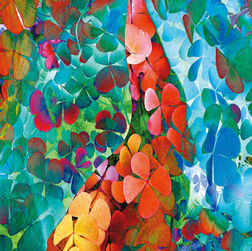 Floral for JAHRRIESNGE flowers-lpf06742  Floral JAHRRIESNGE  for flowers-lpf06742