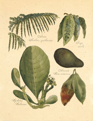 Floral JAHRRIESNGE  for flowers-lpf06747 