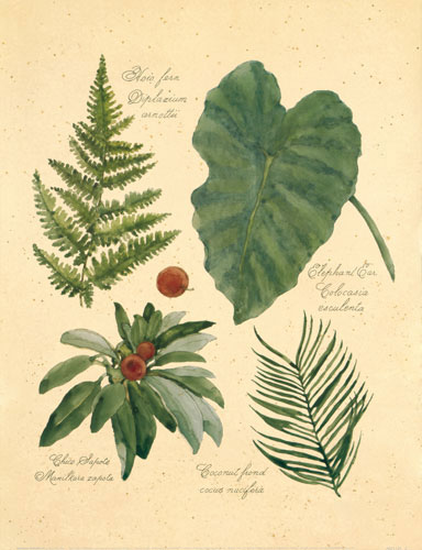 Floral for JAHRRIESNGE flowers-lpf06748  Floral JAHRRIESNGE  for flowers-lpf06748