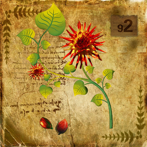 Floral for JAHRRIESNGE flowers-lpf06754  Floral JAHRRIESNGE  for flowers-lpf06754