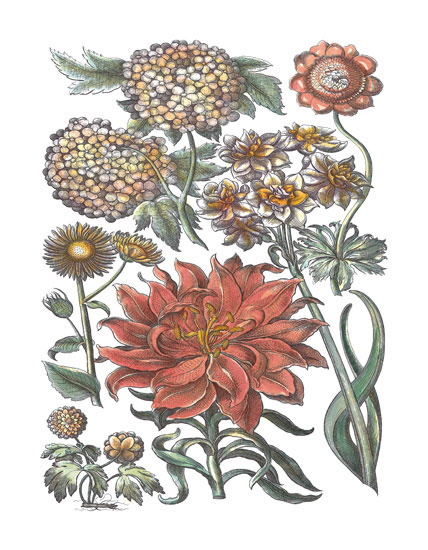 Floral for Jahrriesnge flowers-lpf06780  Floral Jahrriesnge  for flowers-lpf06780