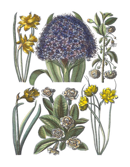 Floral for JAHRRIESNGE flowers-lpf06782  Floral JAHRRIESNGE  for flowers-lpf06782