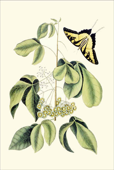 Floral for JAHRRIESNGE flowers-lpf06783  Floral JAHRRIESNGE  for flowers-lpf06783