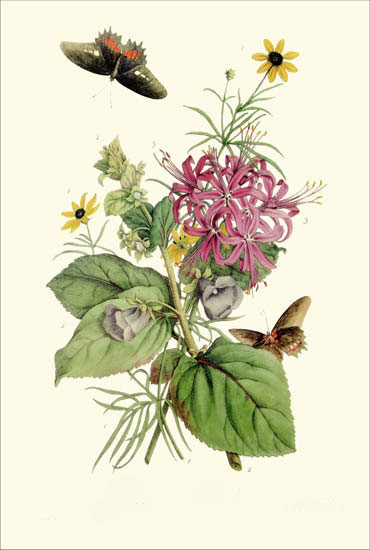 Floral for JAHRRIESNGE flowers-lpf06786  Floral JAHRRIESNGE  for flowers-lpf06786