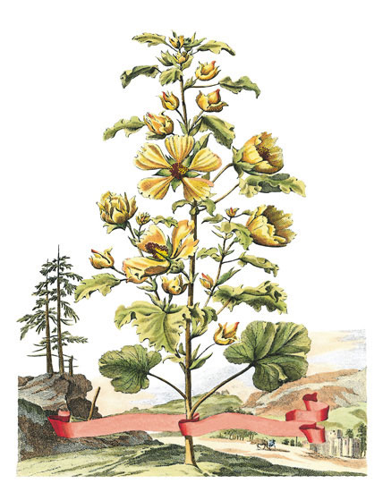 Floral for JAHRRIESNGE flowers-lpf06788  Floral JAHRRIESNGE  for flowers-lpf06788