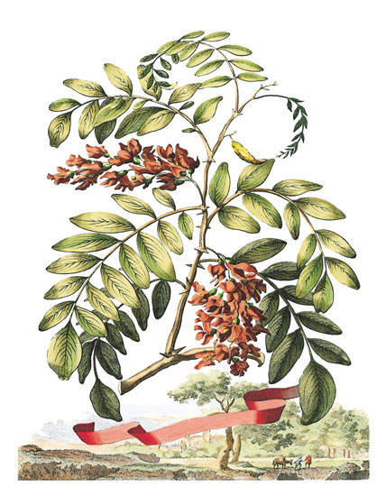 Floral for JAHRRIESNGE flowers-lpf06791  Floral JAHRRIESNGE  for flowers-lpf06791